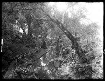 West canyon of the Japanese garden, circa 1908