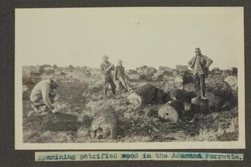 Zahn trip to San Juan placers in a Franklin car.  Examining petrified wood in the Adamana Forests