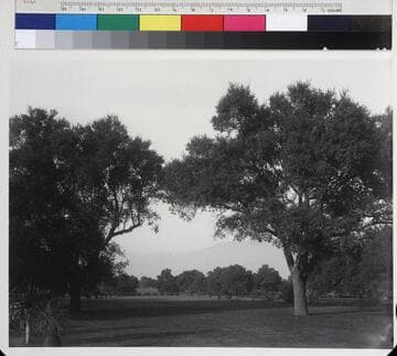 North vista of San Marino ranch