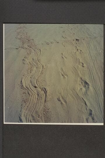 Beaver tracks at Halls Crossing left bank