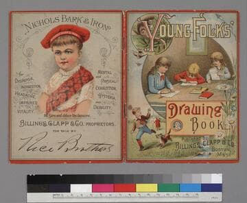 Young Folks' Drawing Book