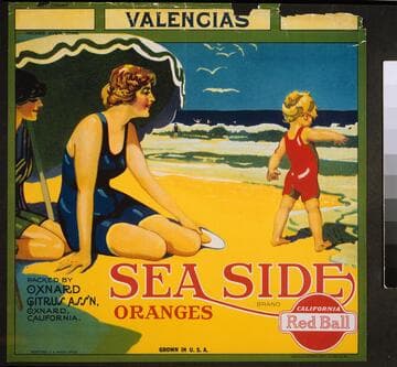 Sea side brand oranges