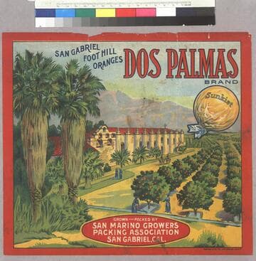 Dos palmas brand