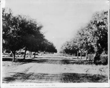 North on Wilcox Ave. from Hollywood Blvd
