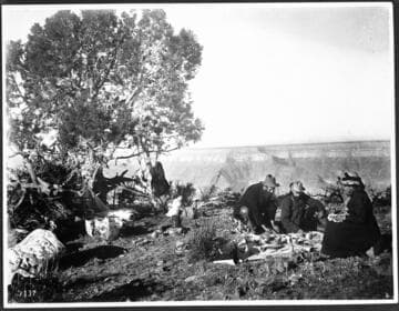 Professor James and party making camp