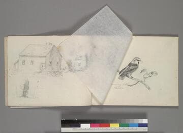 Drawing book of original drawings created by Anna Carpenter