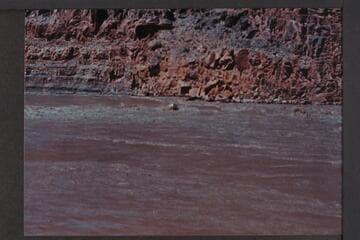 Rapid 43 in Cataract Canyon