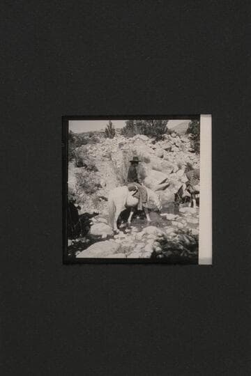 Tobe Owl at Cha Canyon