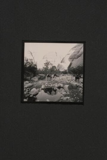 Waterhole in Nasja Creek