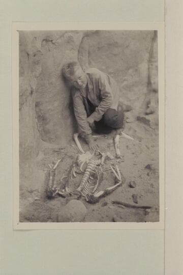 Bruce Wilson worries over the skeleton