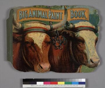Big Animal Paint Book