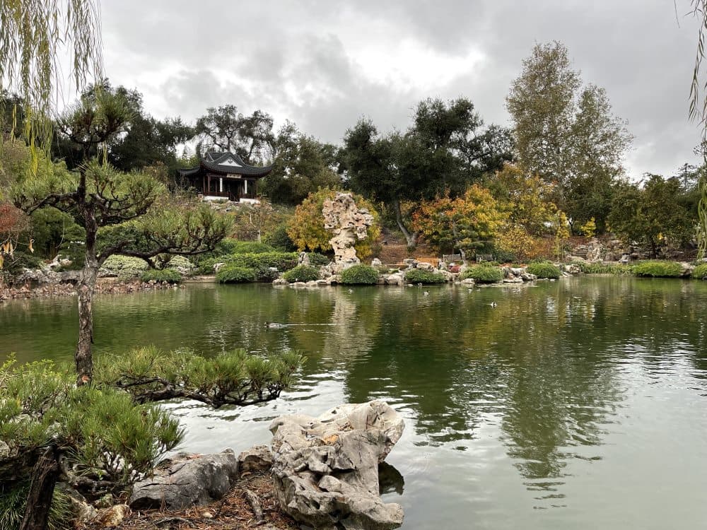 Garden with plants and rocks surrounding a body of still water. A one-room structure with a curved roof is on a hill behind the body of water.
