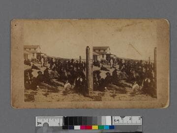 People on beach in front of the Santa Monica Bath House