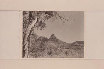 Upriver from camp at mouth of Three Fords Canyon, right bank