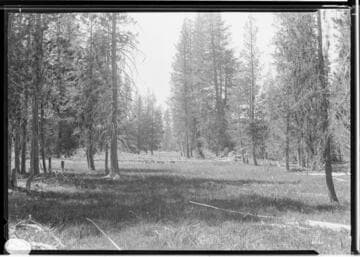 Big Creek Scenery - Shaver Lake Country