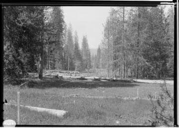 Big Creek Scenery - Shaver Lake Country - looking north from south line of survey