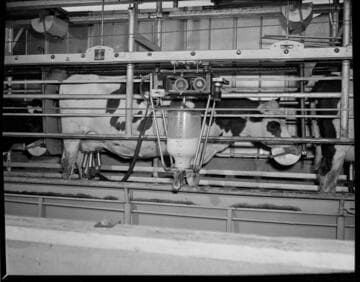 Agriculture